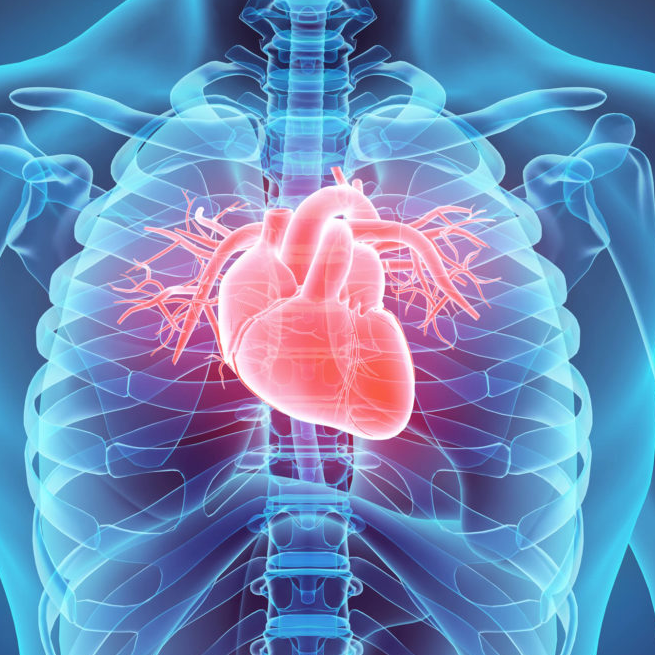 cardiac-science-italian-hospital-Egypt
